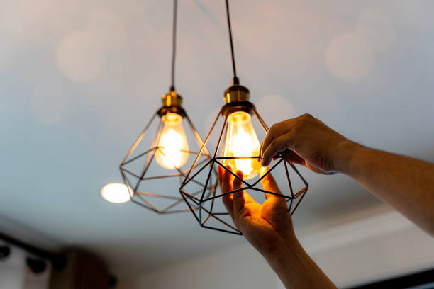 Best Local Electrician Companies  in Flemingsburg, KY